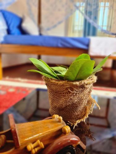 Silver Rail - last minute hotel in Galle