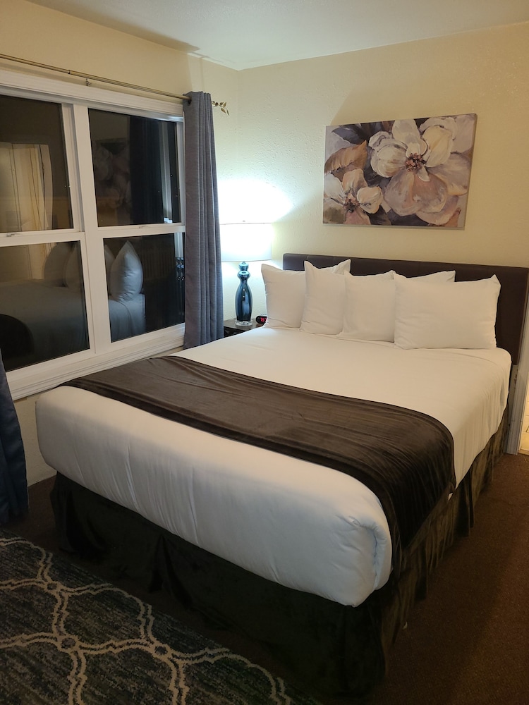 Lamplighter Cabins & Suites - photo 30