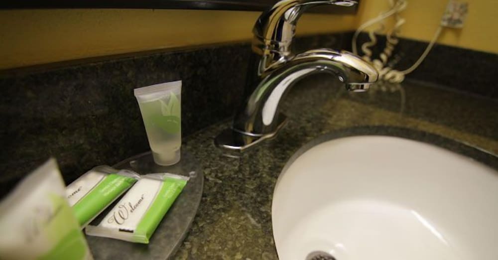 Magnolia Inn And Suites - photo 35