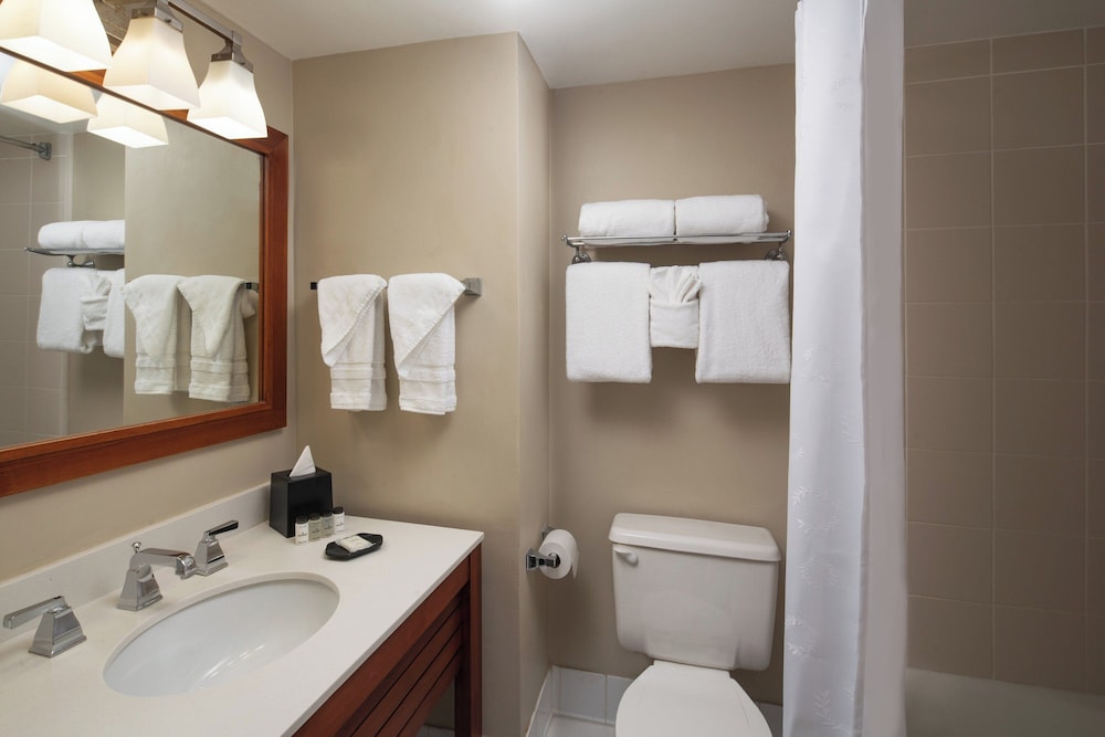Sheraton Suites Fort Lauderdale at Cypress Creek - photo 14