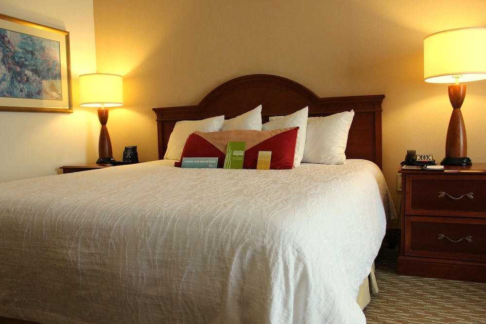 Hilton Garden Inn Charlotte Pineville - photo 8