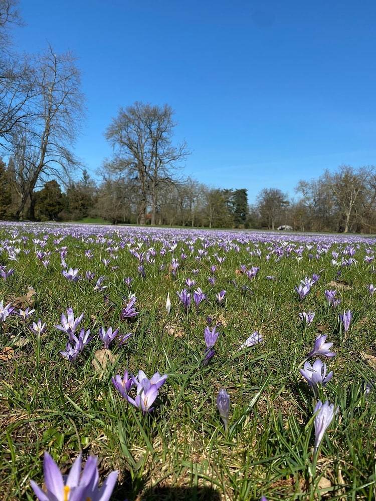 Land view from property