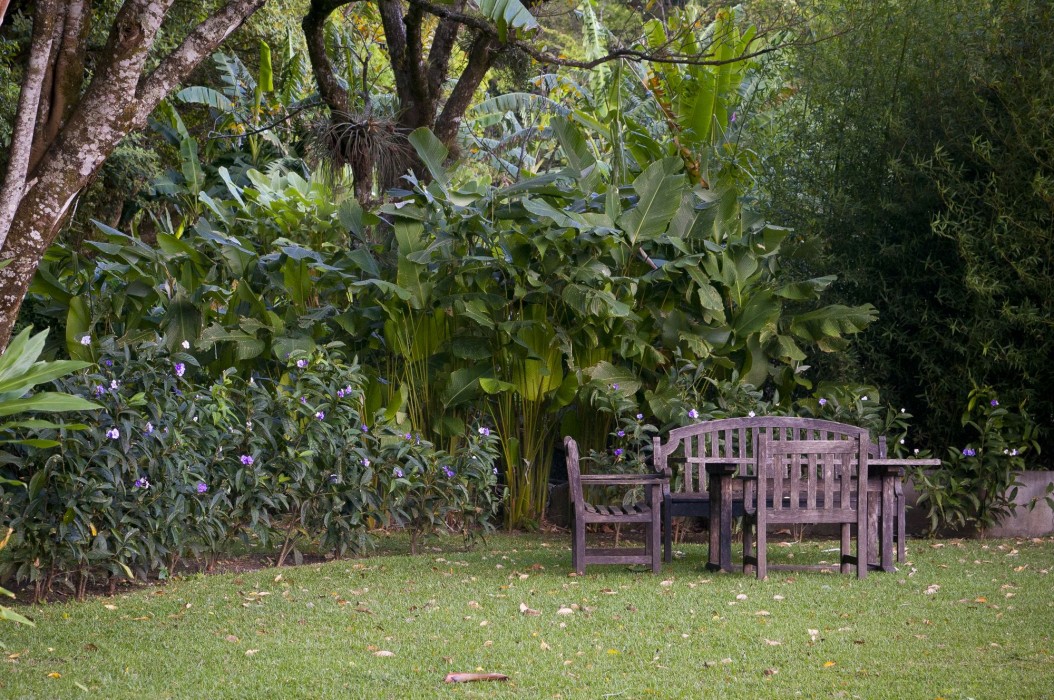 The Haven — hotel in Bajo Boquete