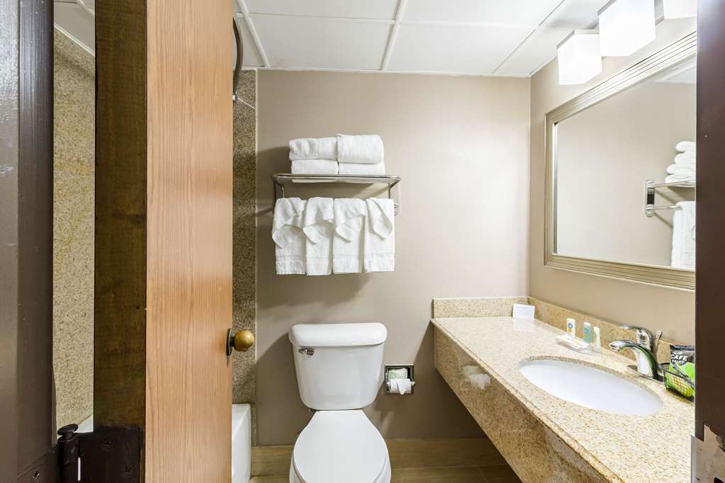 Quality Inn & Suites Arden Hills Saint Paul North - photo 17