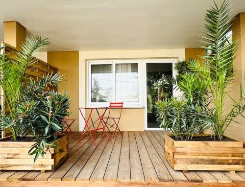 Studio Mimosa 500m de la Plage pet-friendly hotel Lacanau