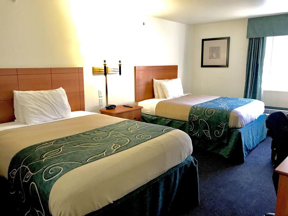 Oak Tree Inn - photo 6