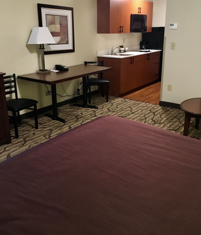 Aspen Suites Hotel Homer - photo 12