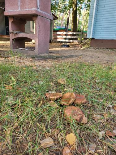 Letnisko Bajka in Ilawa, Poland