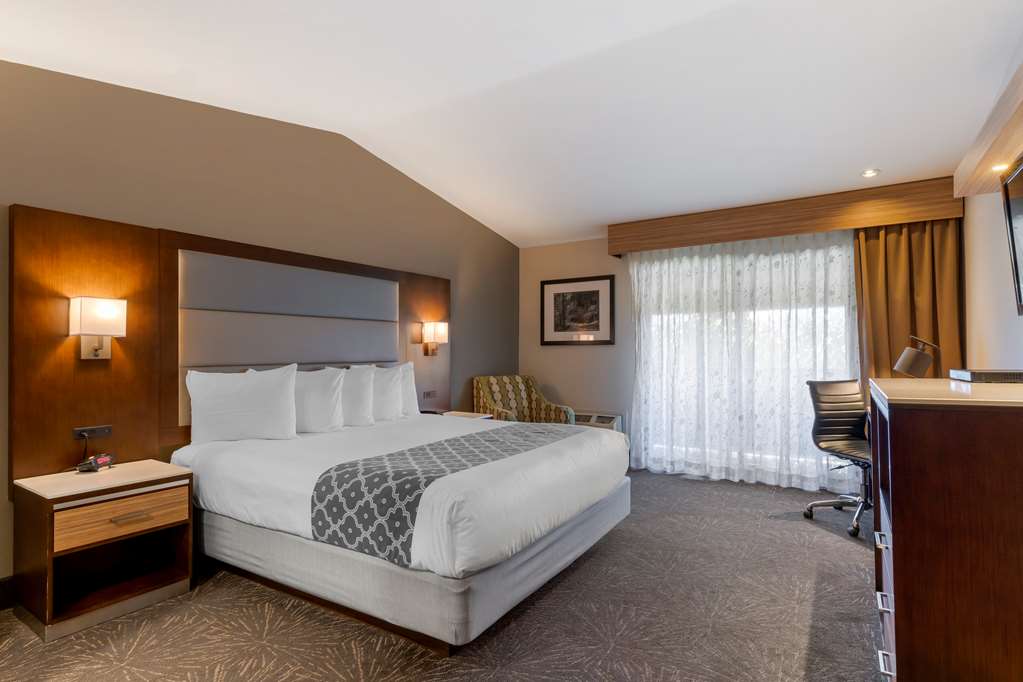 Best Western Plus Forest Park Inn - photo 52