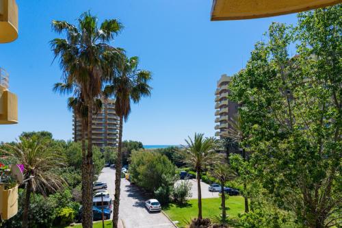 Salamar Saler — Valencia — photo 5