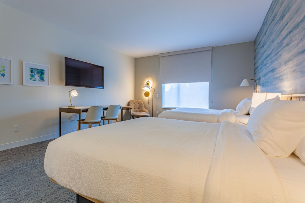 TownePlace Suites by Marriott Raleigh University Area - photo 12
