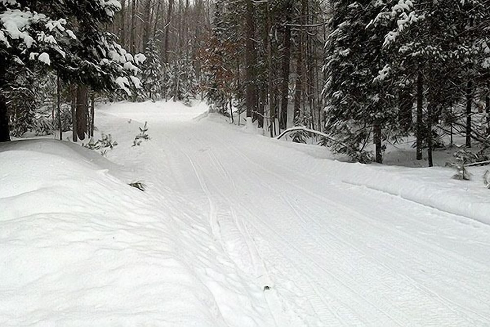 Chicaugon Lake Inn - photo 81
