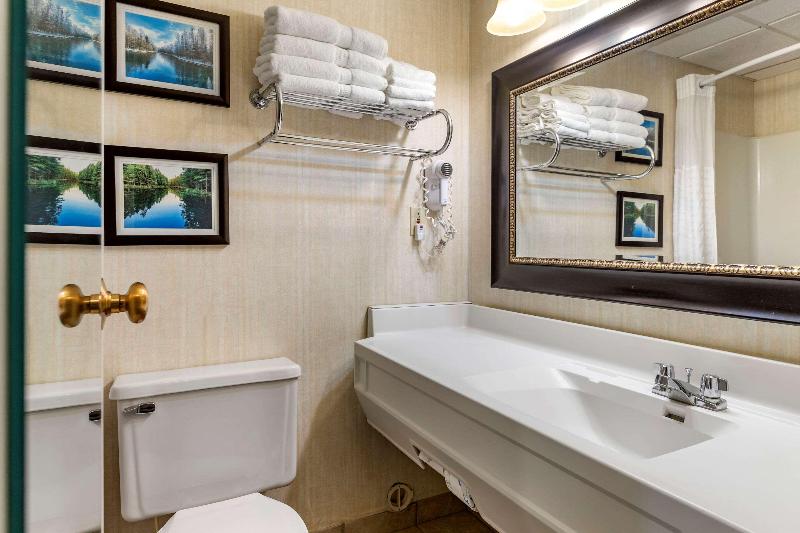 Comfort Inn Manistique MI - photo 62