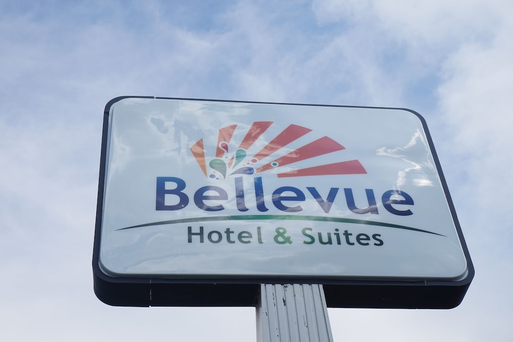 Bellevue Hotel & Suites - photo 82