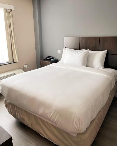 Hotel 21 Nyc - photo 21