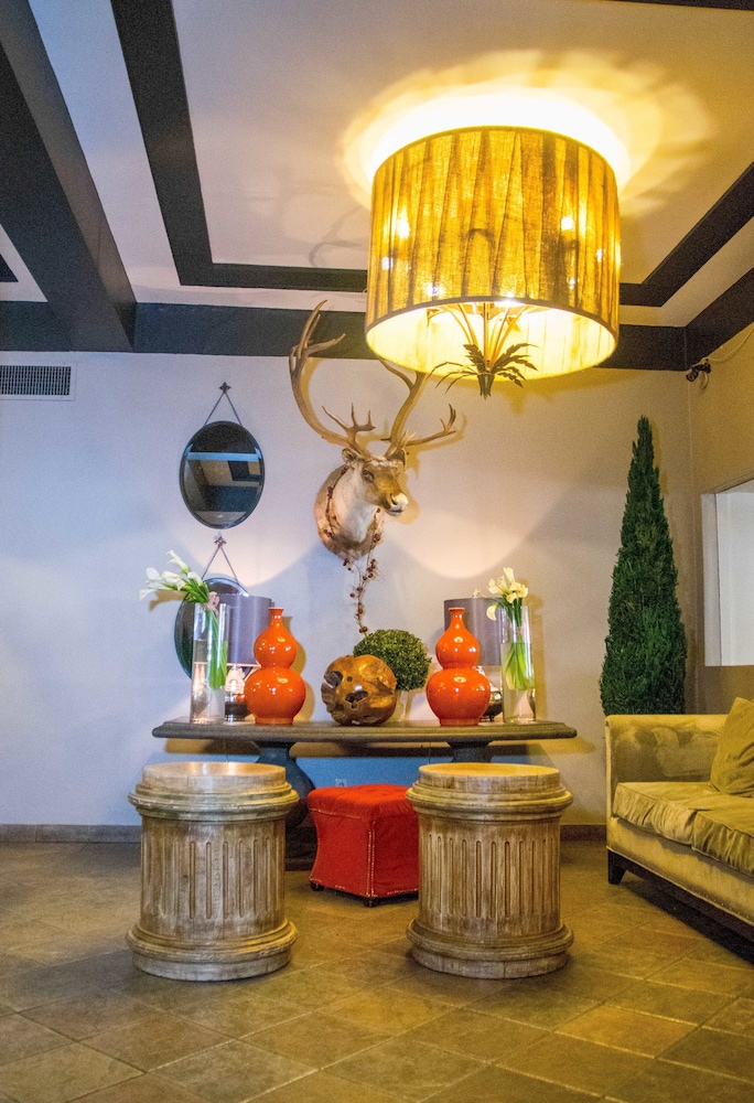 Hotel Fray Marcos — Nogales — photo 4