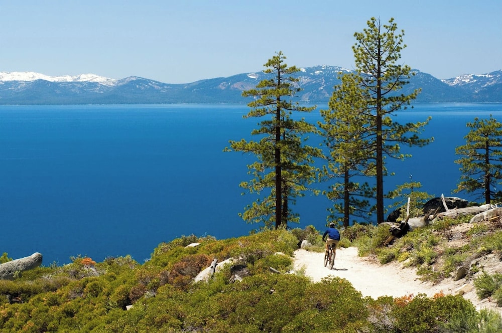 Flurry by Avantstay Tahoe Donner Home w Access to Northstar Resort Community - photo 11