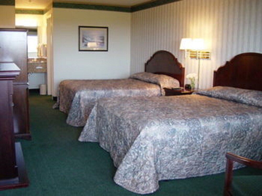 Emerald Dolphin Inn & Mini Golf - photo 12