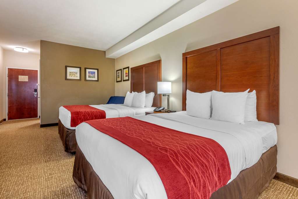 Comfort Inn Lenoir City Knoxville - photo 33