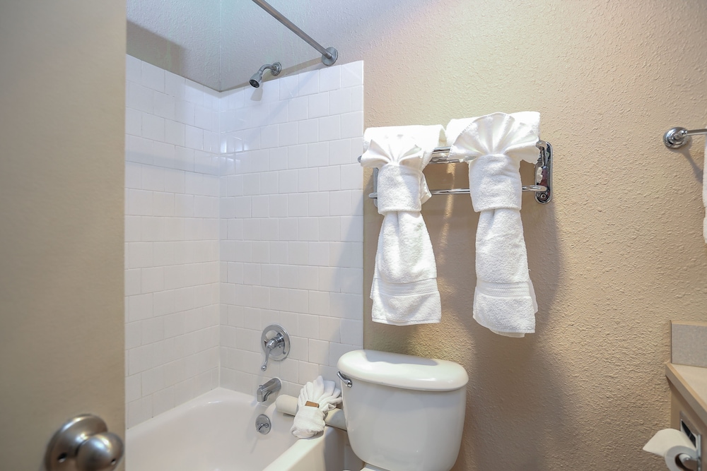 Ebb Tide Oceanfront Inn - photo 57