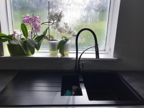 Cozy Appartment Free Parking No Wifi