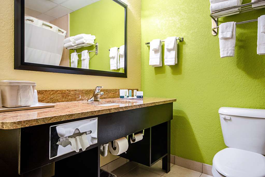 Quality Inn & Suites Glenmont Albany South - photo 29