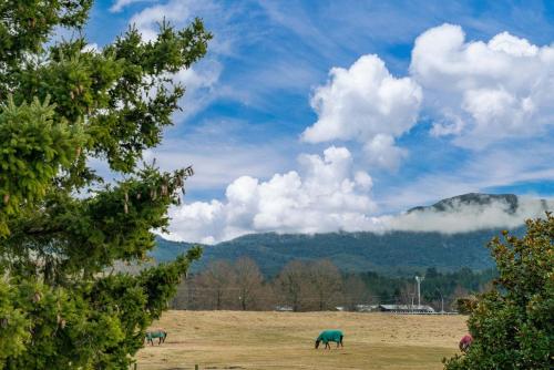 Riverside Haven Turangi Holiday Home — 4-Star Luxury Hotel in Turangi, New Zealand