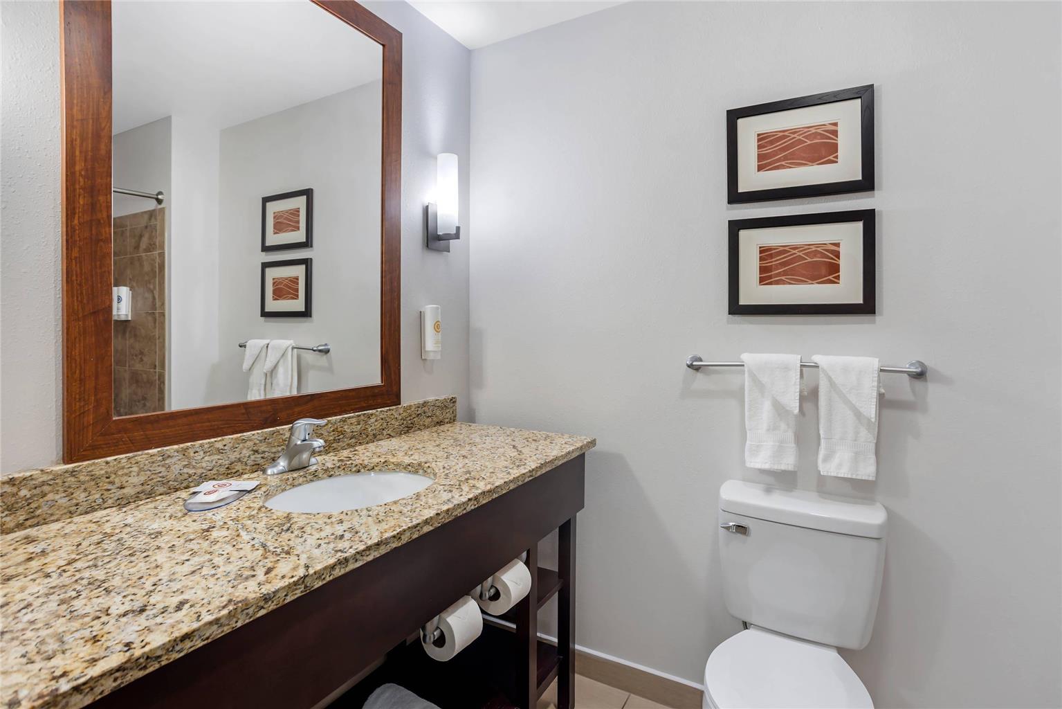 Comfort Inn & Suites Sayre - photo 18