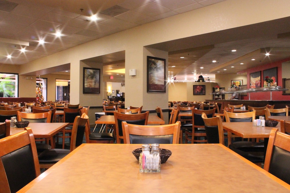 Rosen Inn Lake Buena Vista - photo 43