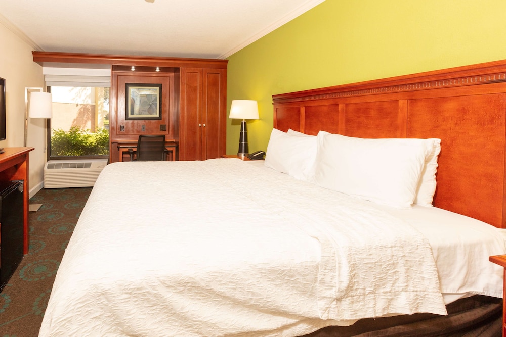 Hampton Inn Daytona Speedway - photo 13