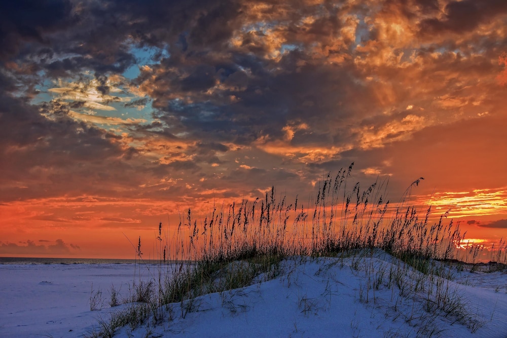 Ariel Dunes II 2303 - photo 63