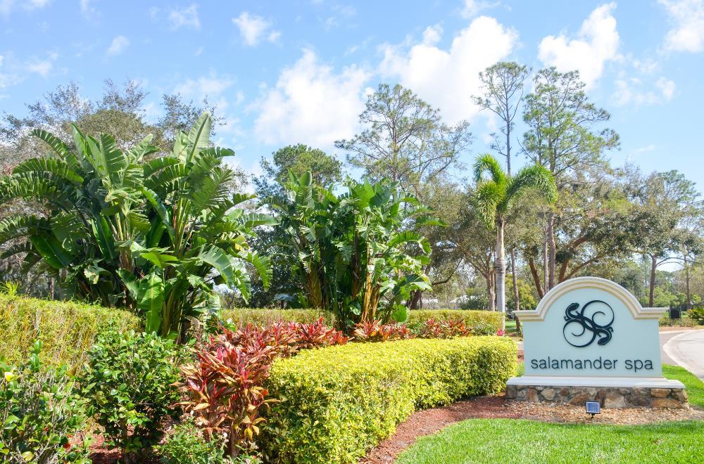 Innisbrook Resort - photo 47