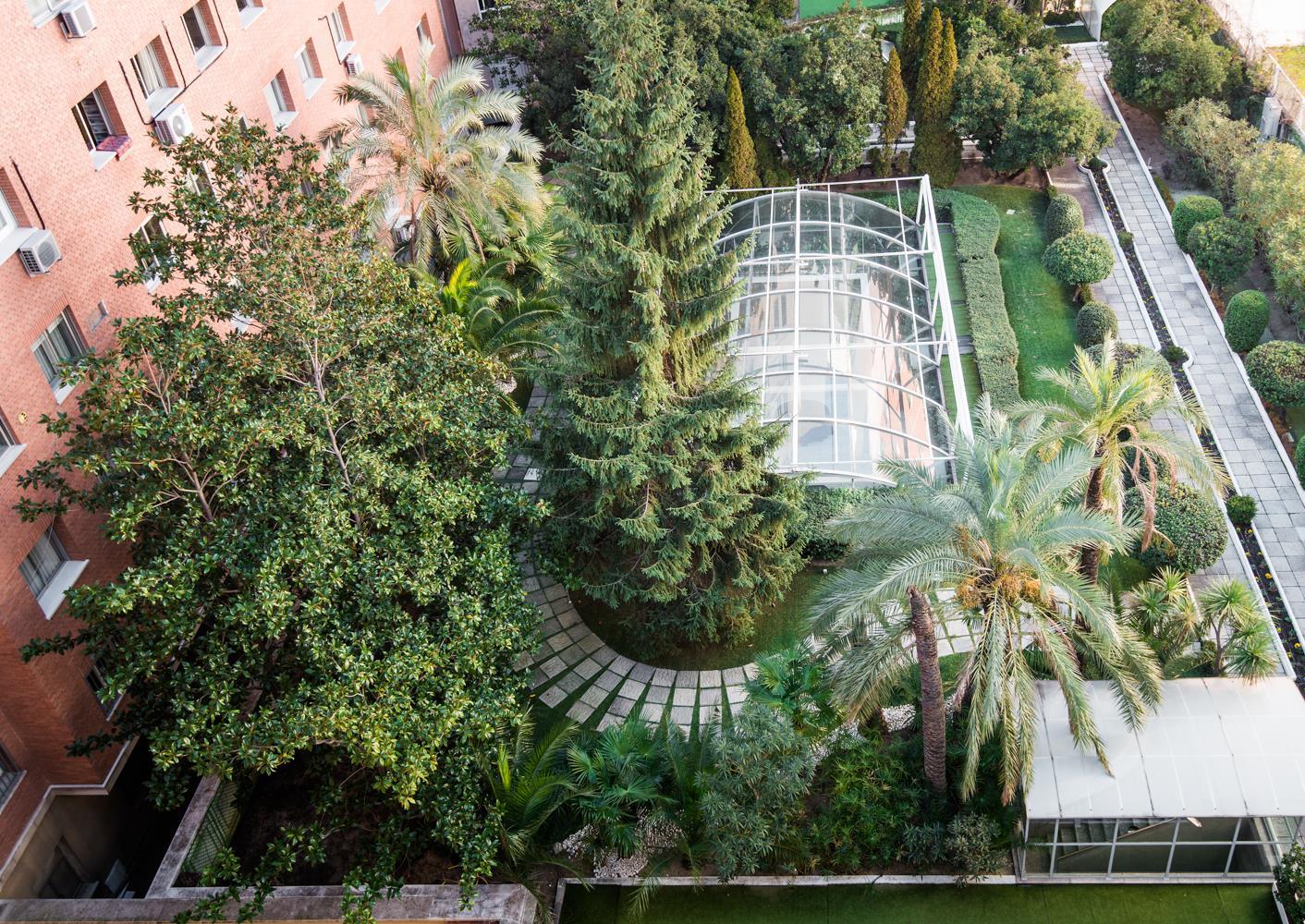 VP Madroño - last minute hotel in Madrid