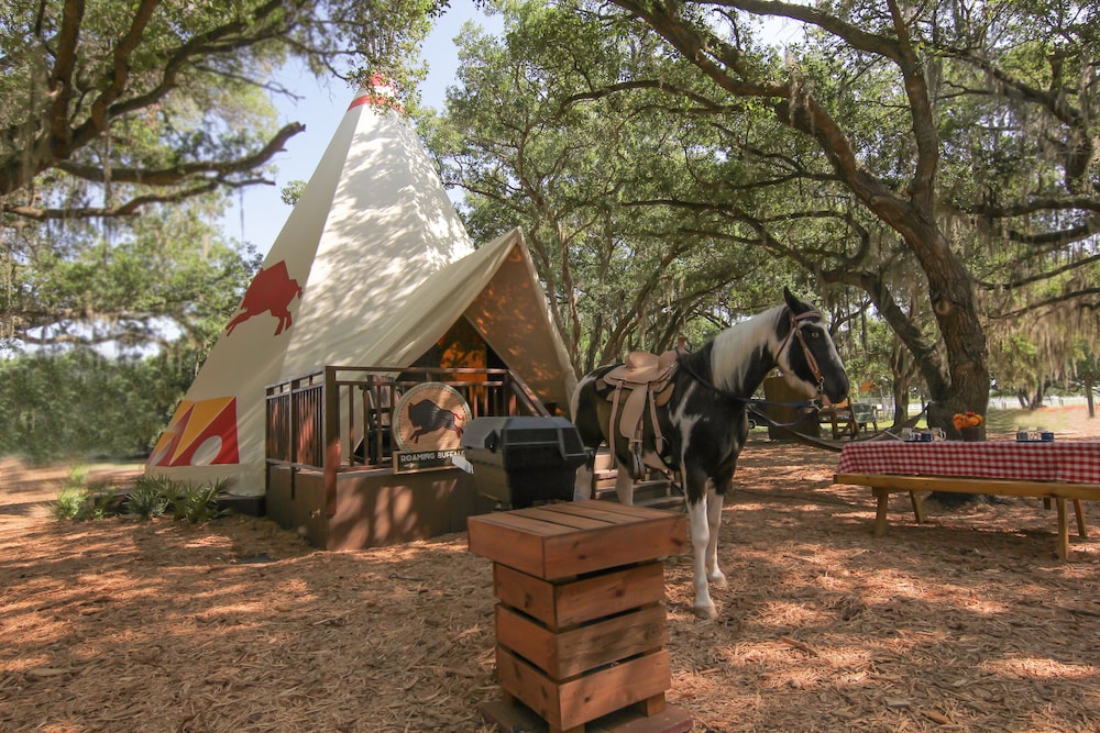 Westgate River Ranch Resort & Rodeo - photo 64
