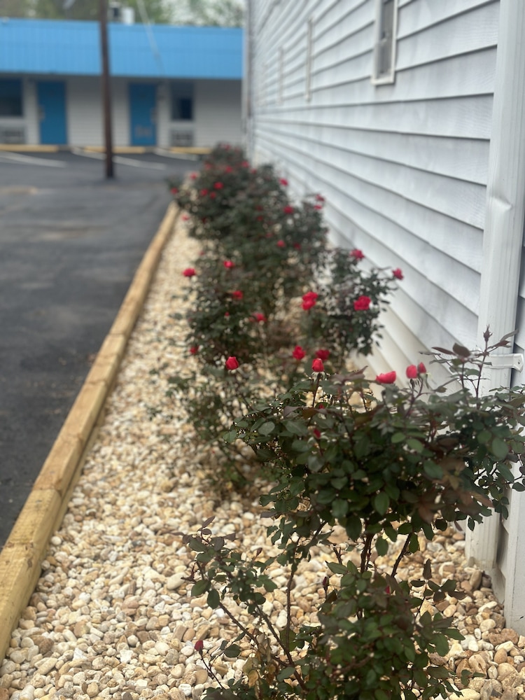 Green Garden Inn - photo 38