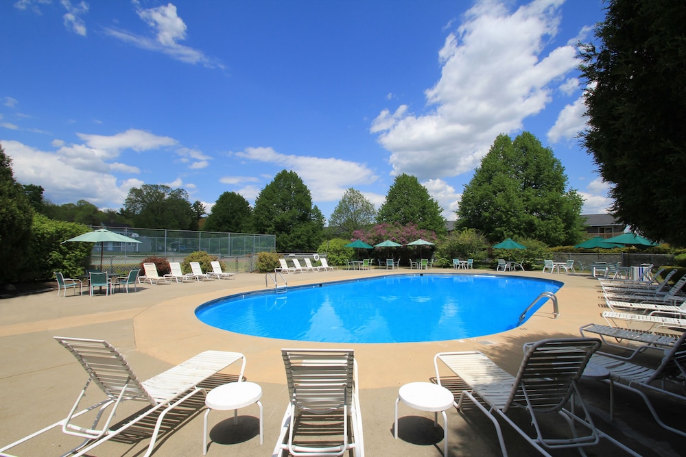 The Majestic Regency Resort - photo 27