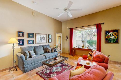 Running Coyote in Oro Valley, United States