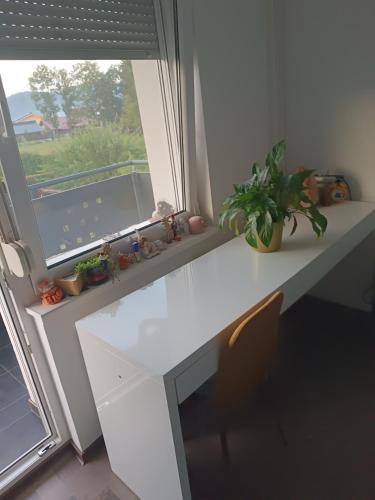 Apartma Dobrodošli pri Renati v Celju — Celje — photo 3