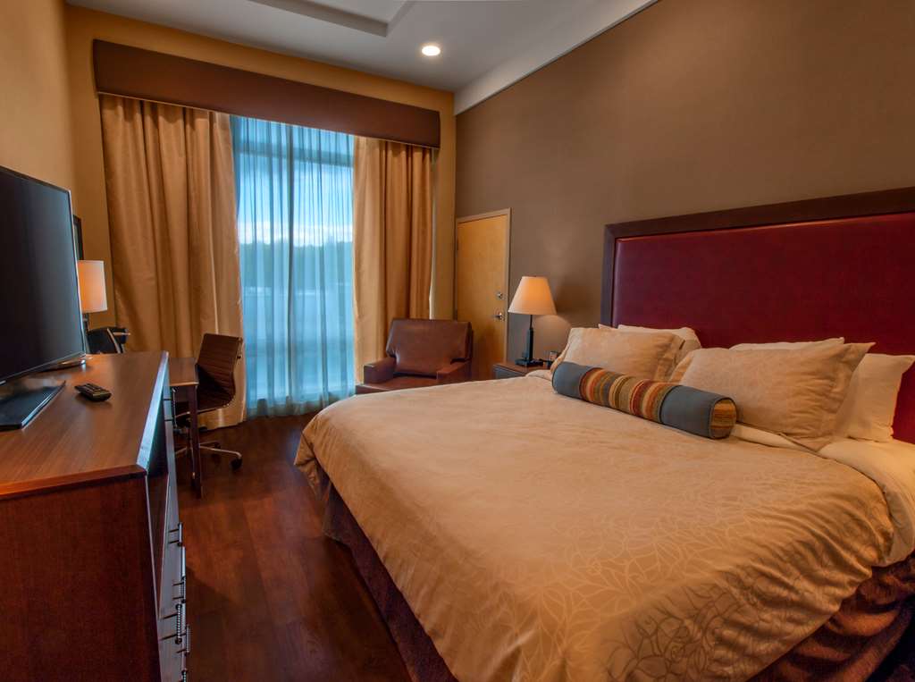 Hotel Ithaca - photo 5