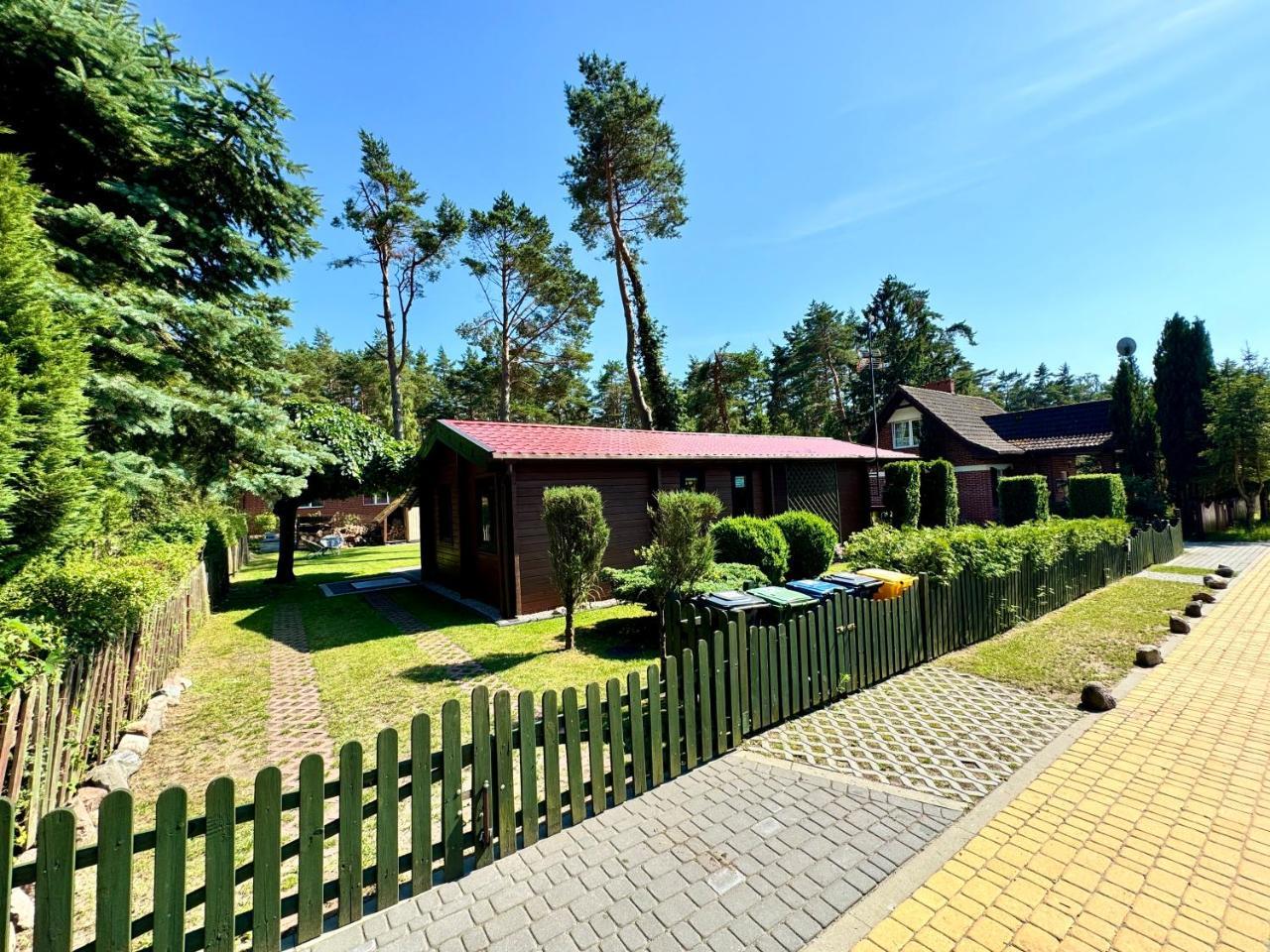 Leśna ostoja Poddąbie — Ustka — photo 2