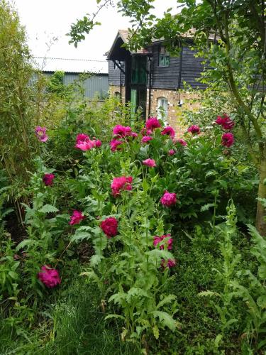 Watercress Barns — 4-Star Luxury Hotel in Sittingbourne, United Kingdom