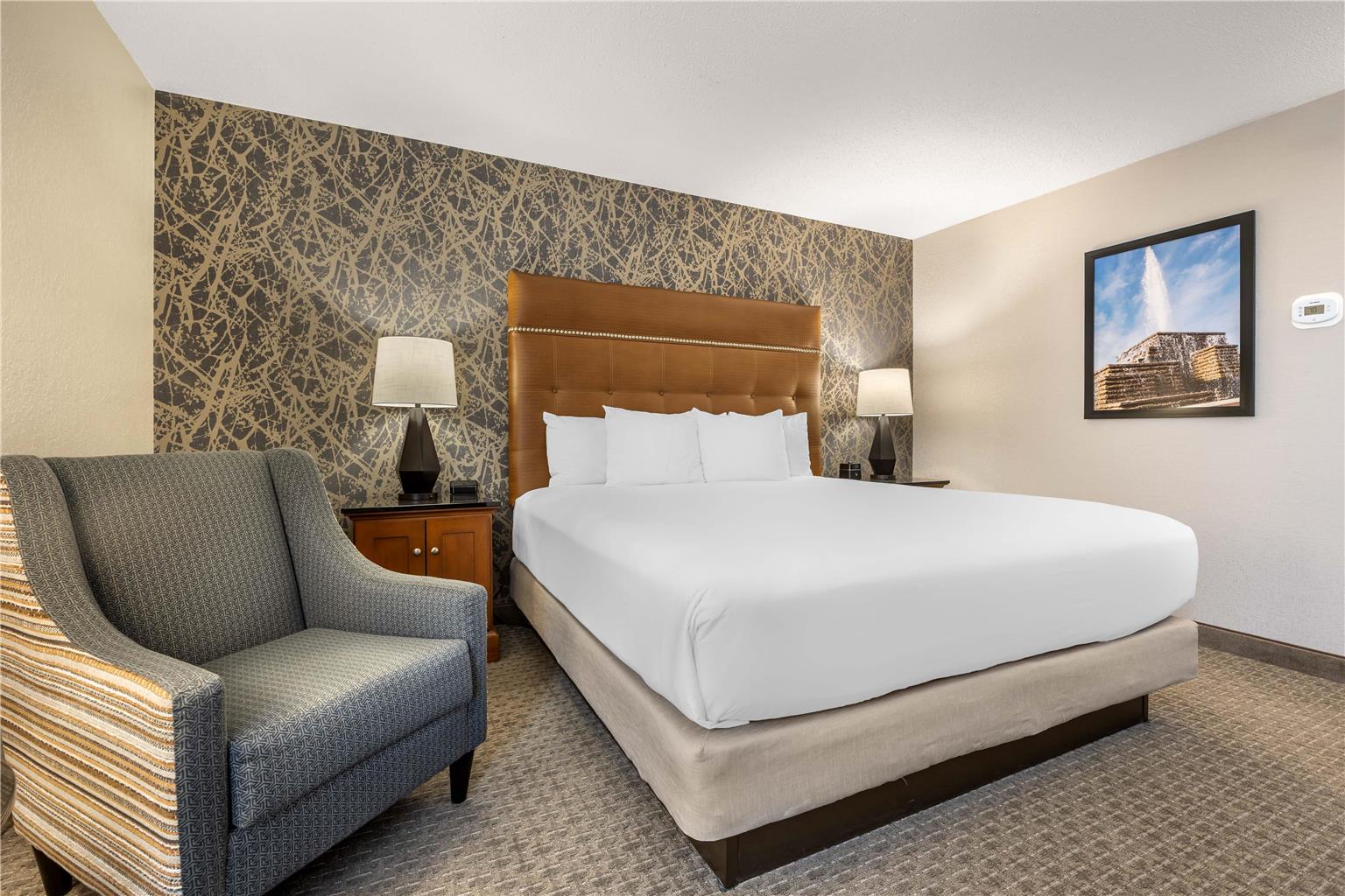 Drury Inn & Suites Springfield MO - photo 22