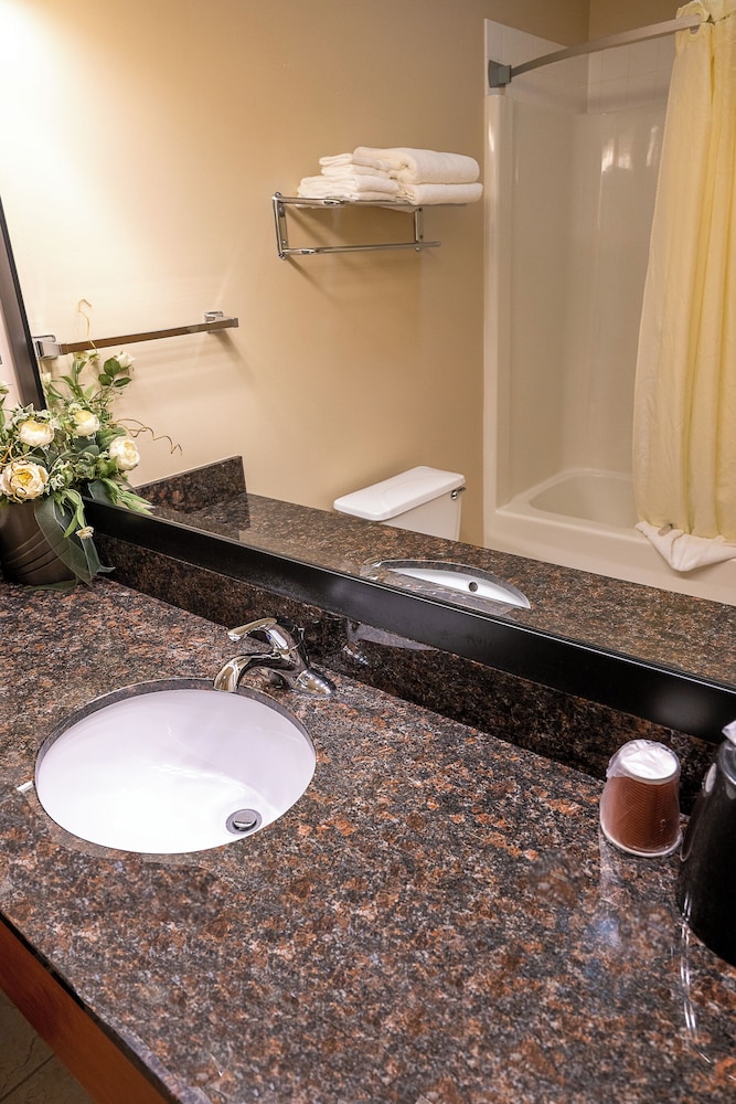 Savanna Inn & Suites - photo 28
