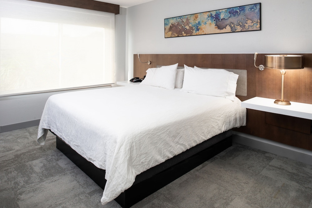 Hilton Garden Inn Baton Rouge Airport - photo 16