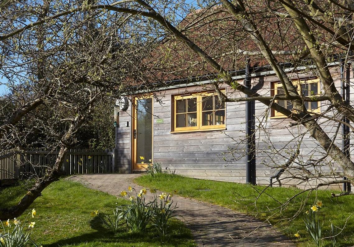 The Squeak at Moor Farm — hotel in Godshill