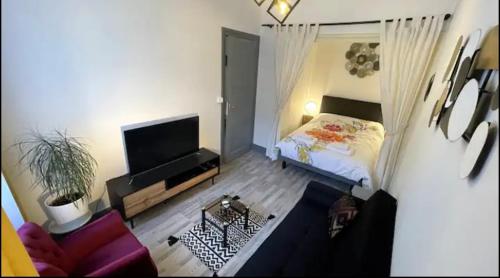Chic & Elegance Lyon Centre - carbon neutral hotel in Lyon