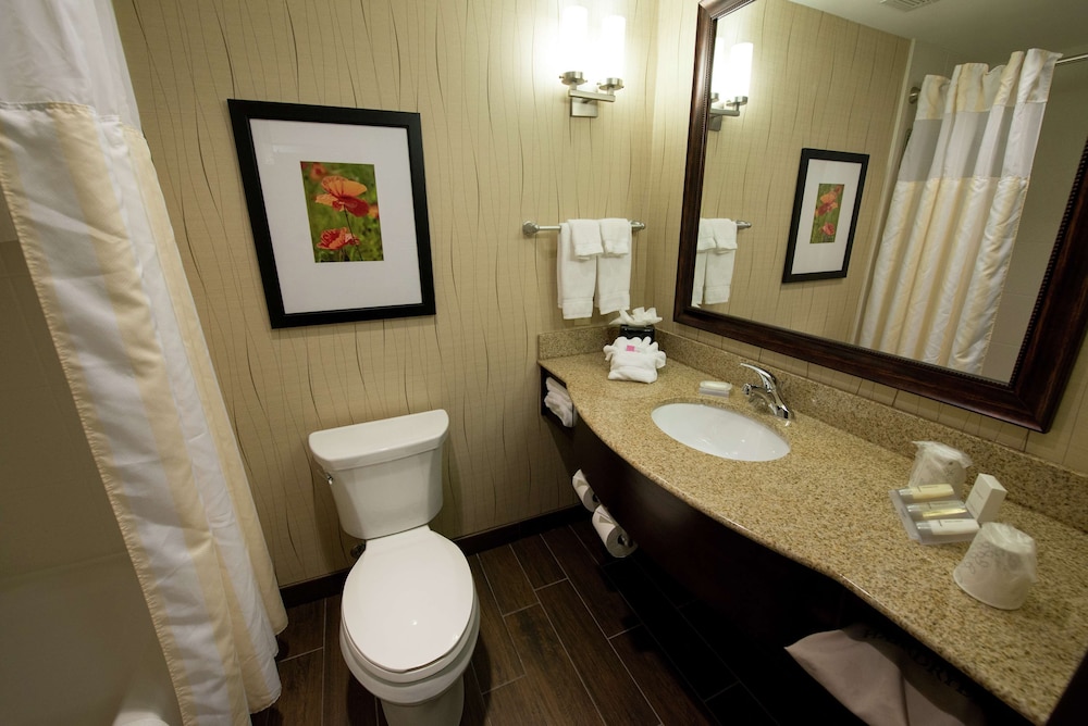 Hilton Garden Inn Dayton South Austin Landing - photo 34