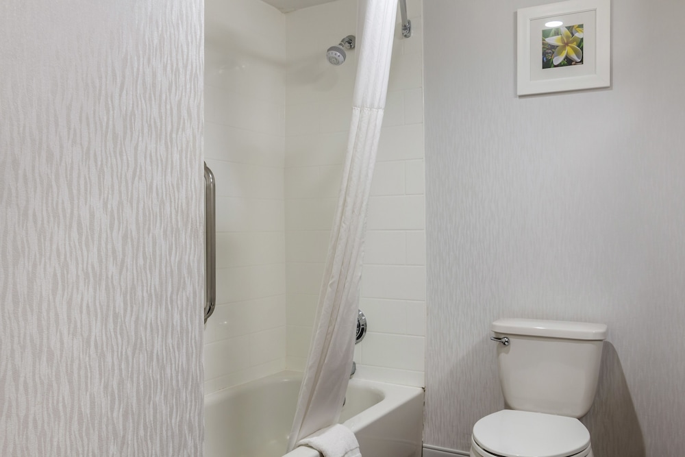 Hampton Inn Adel - photo 10
