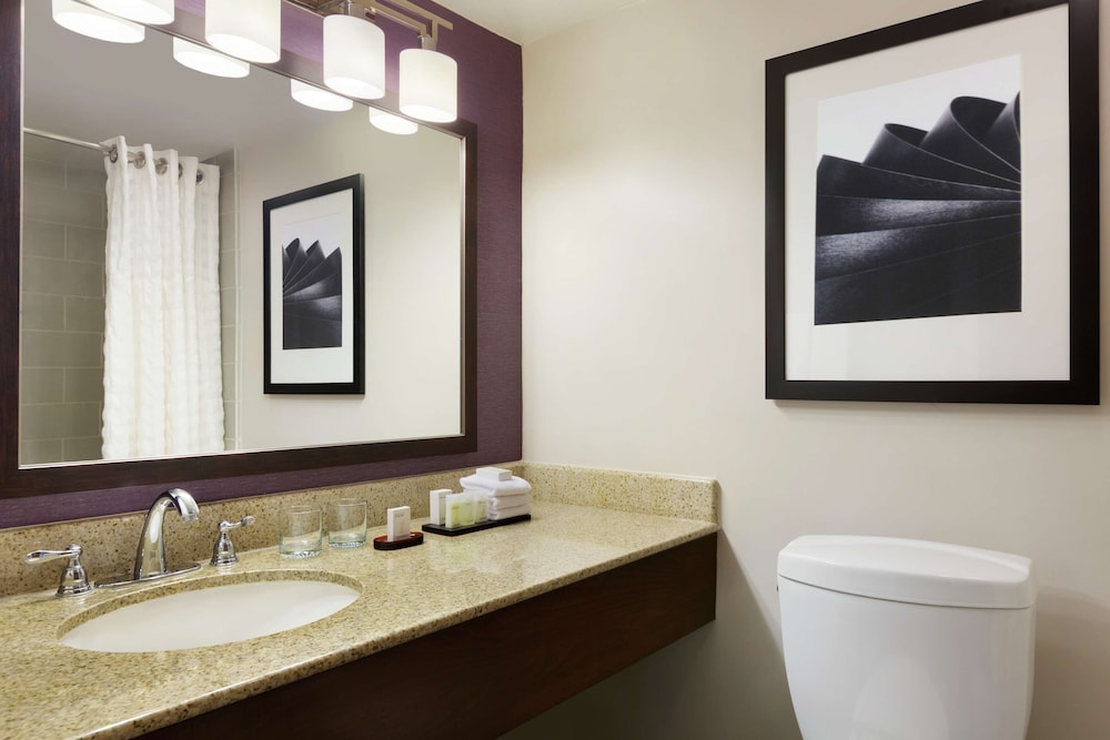 Embassy Suites by Hilton Santa Ana Orange County Airport - photo 16