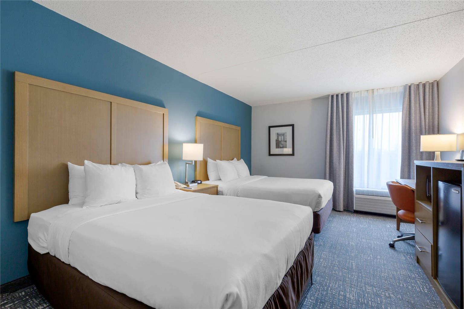Comfort Inn & Suites Alexandria West - photo 14